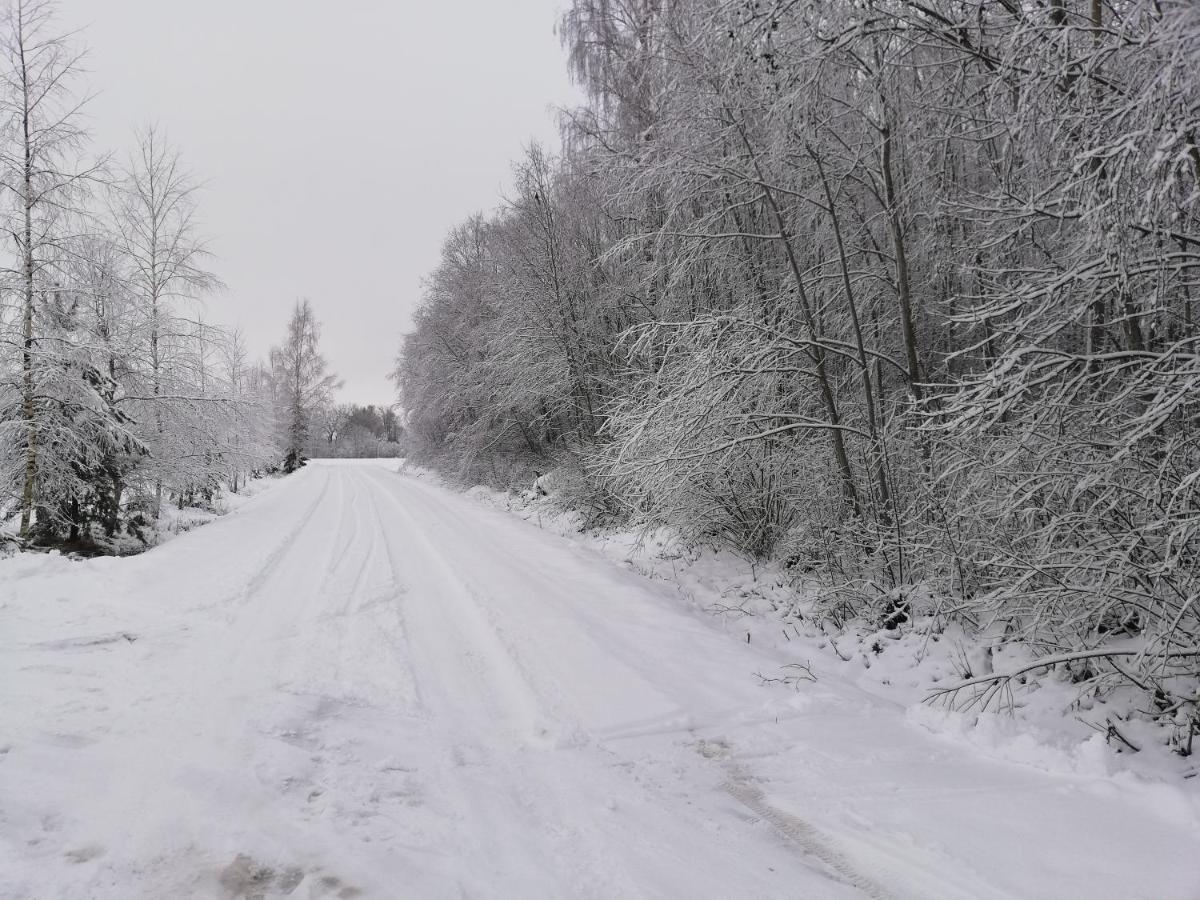 Perkonu Namins Villa Balvi Kültér fotó